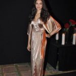 Deepika Padukone's Success Party Photos