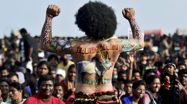 jallikattu protest 1