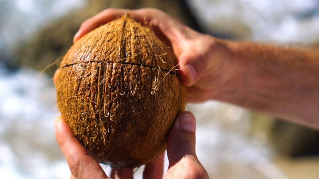 How To Open Coconuts Without Any Tools 1