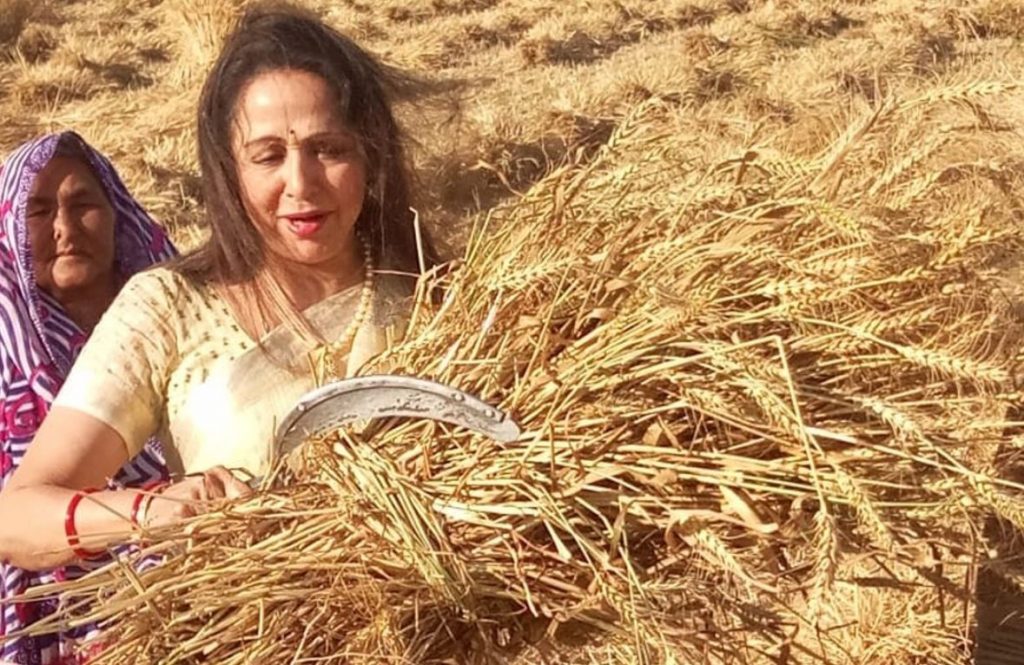 Hema Malini performs in new role as farm woman 1