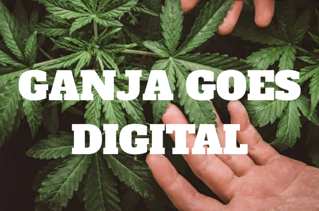 Now Ganja Goes Digital Order Online 1