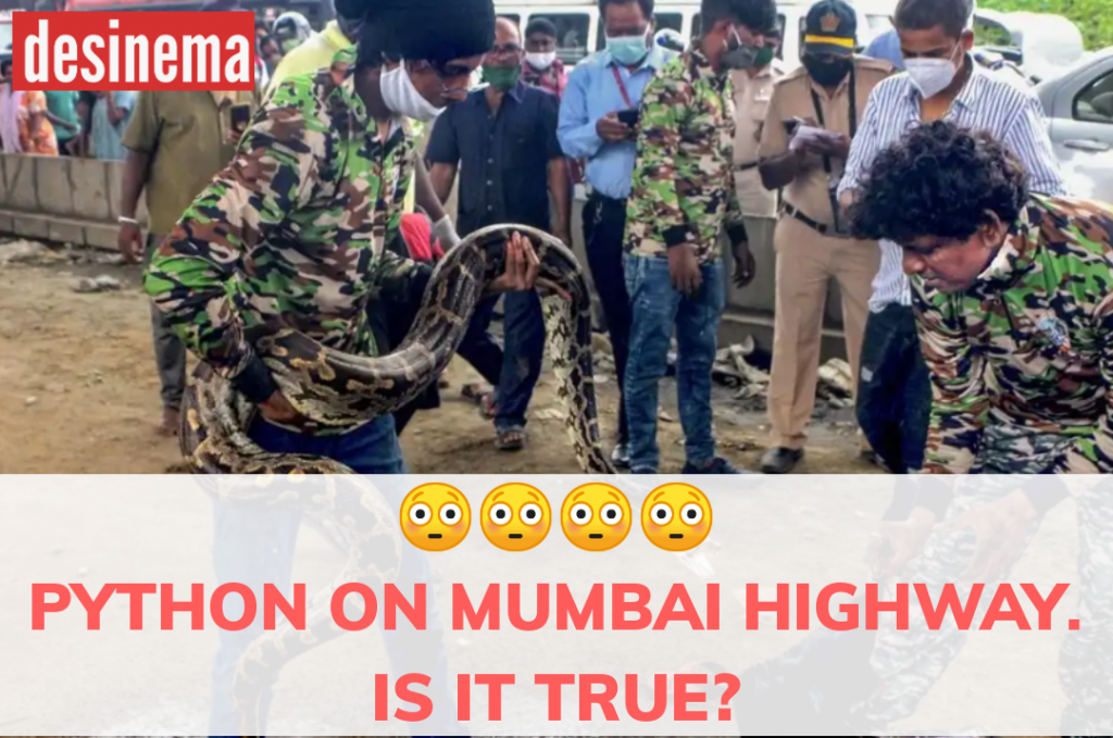 Python on Mumbai HIGHWAY 1