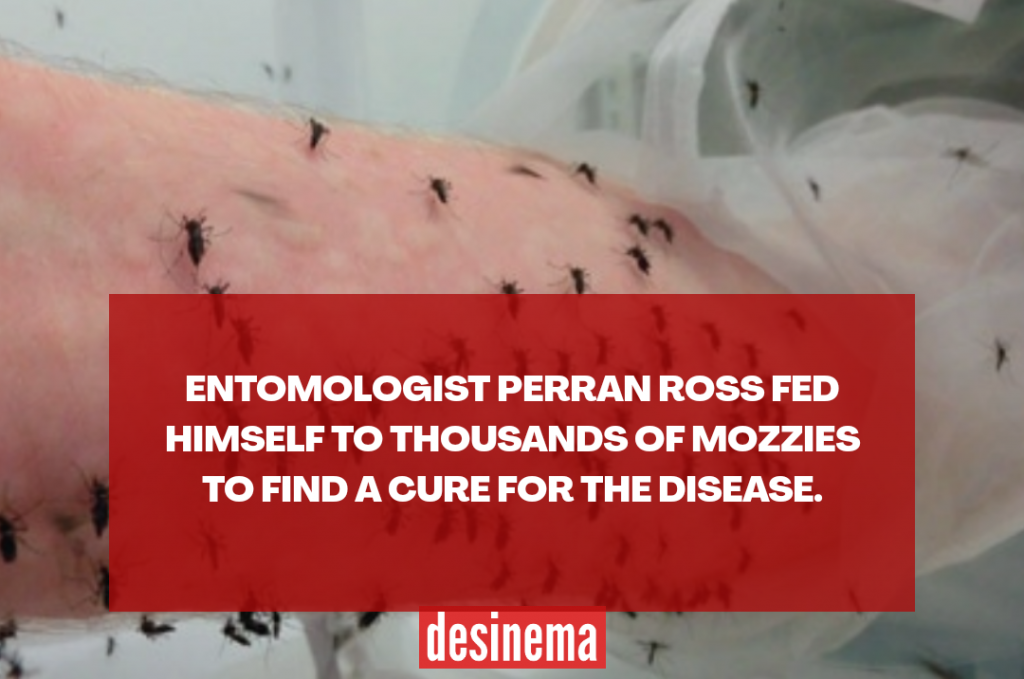 This Scientist Let 1000 of Infected Mosquitoes Bite Him 1