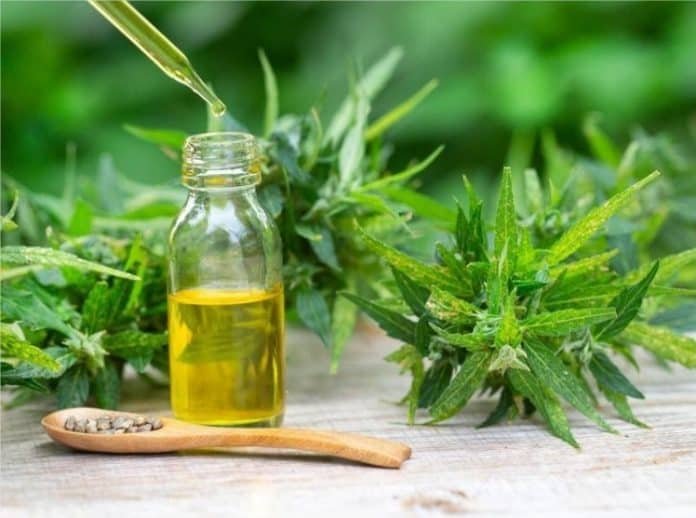 CBD-Trend-in-the-food-and-health-industry