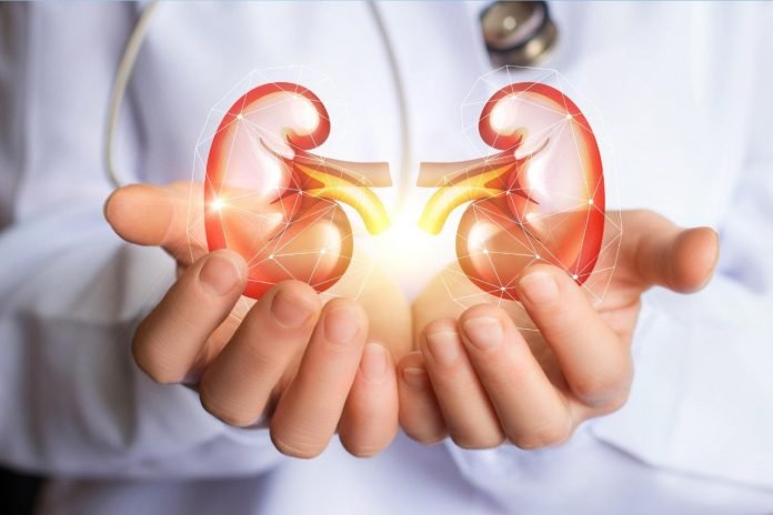 After renal transplant, Chennai man has 5 kidneys in his body.