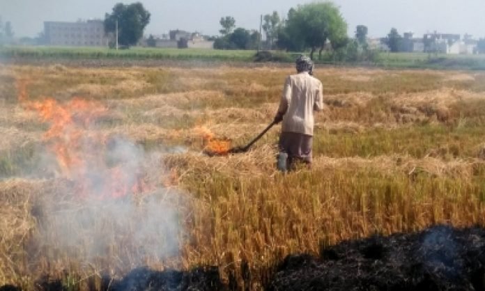 Meeting-of-all-Punjab-DCs-CAQM-on-stubble-burning-on-Friday