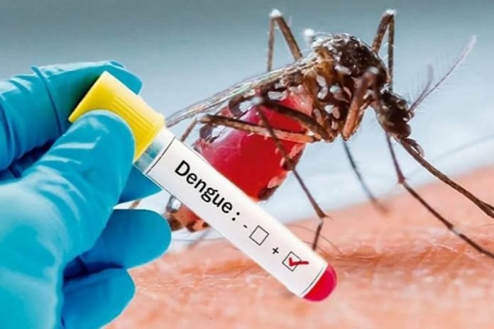 Rumours-of-jaundice-epidemic-dengue-outbreak-in-Kashmir-baseless