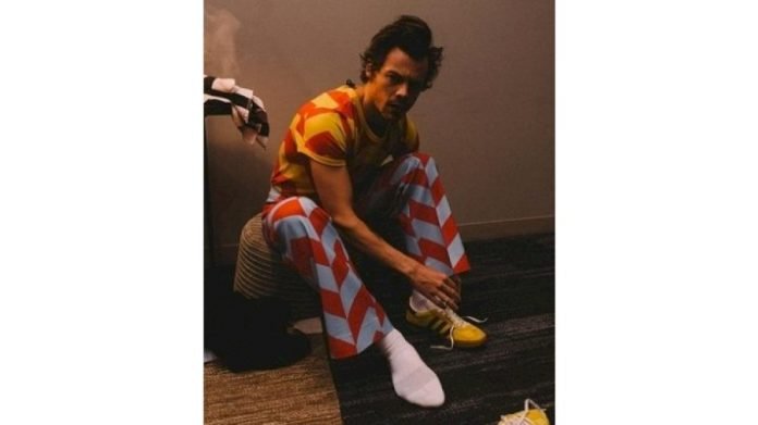 Harry-Styles-postpones-first-Chicago-show-following-crew-and-band-members-illness