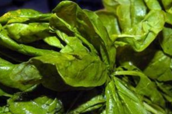 Weed-Accidentally-Grown-With-Spinach-in-Australia-Farm-Makes-200-People-Hallucinate