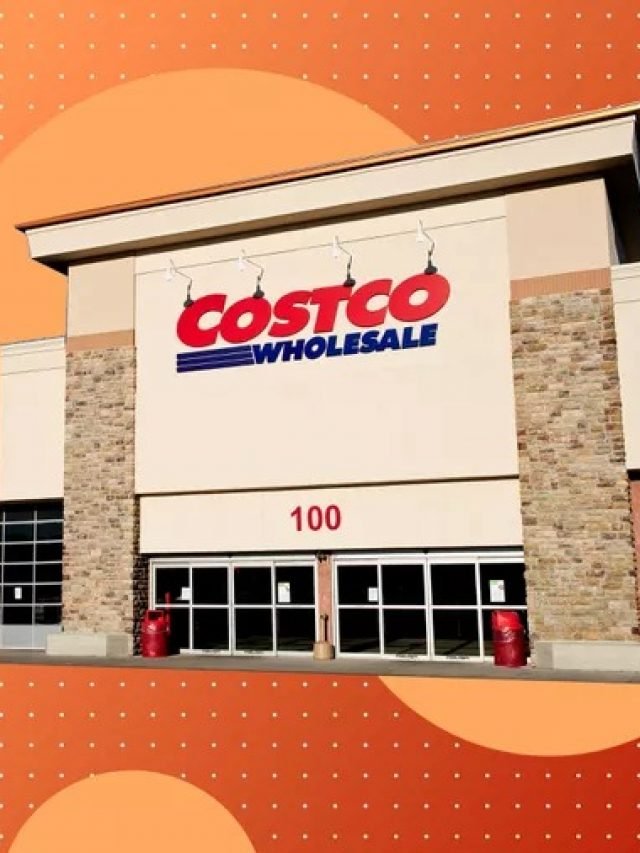 The 7 Best Sale Items at Costco in November desinema